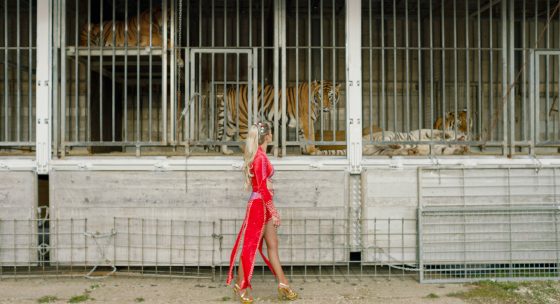 Eine Frau in einem Kleid und High-Heels geht an einem Tigergehege vorbei