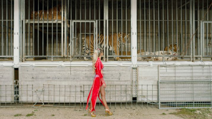 Eine Frau in einem Kleid und High-Heels geht an einem Tigergehege vorbei