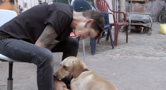 Person sitzt auf einem Sessel und bückt sich zu einem Hund hinunter