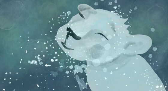 Illustration eines lächelnden Eisbärenkopfs mit geschlossenen Augen vor einem aquamarinfarbenen Hintergrund mit weißen Spritzern