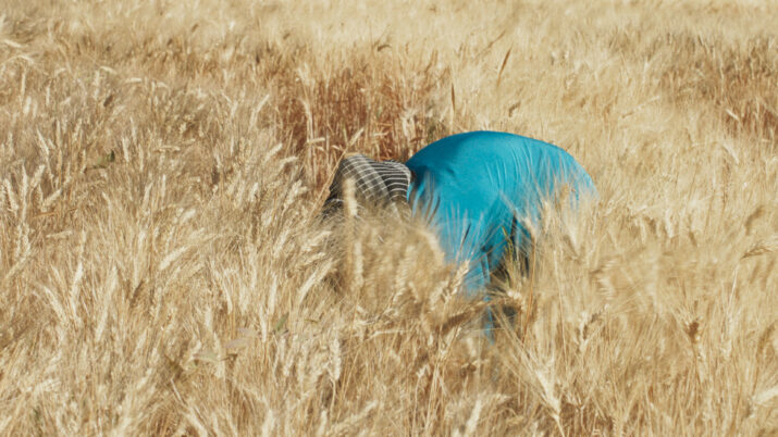 Es ist ein türkises Hemd im Feld zu erkennen
