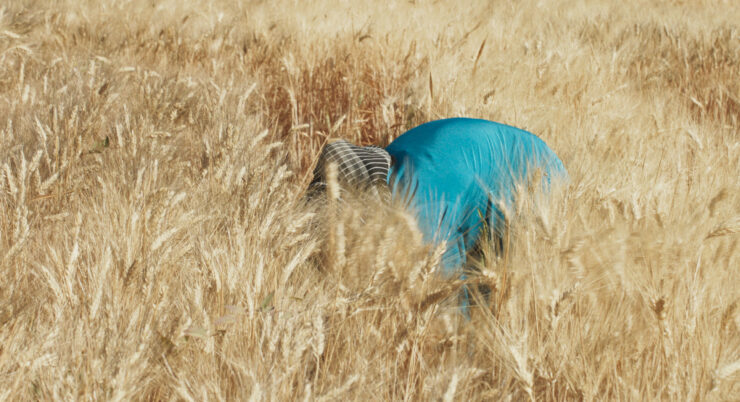 Es ist ein türkises Hemd im Feld zu erkennen