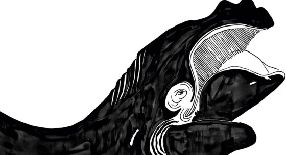 Viennale Banner: Ein gezeichneter schwarzer Wal.