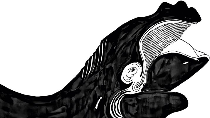 Viennale Banner: Ein gezeichneter schwarzer Wal.